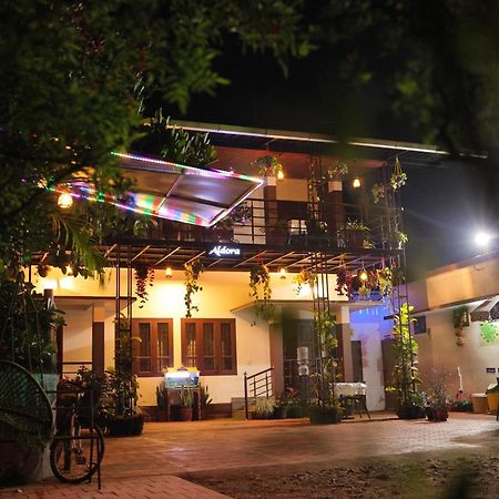 Aldora Holiday Homes 维特利 外观 照片