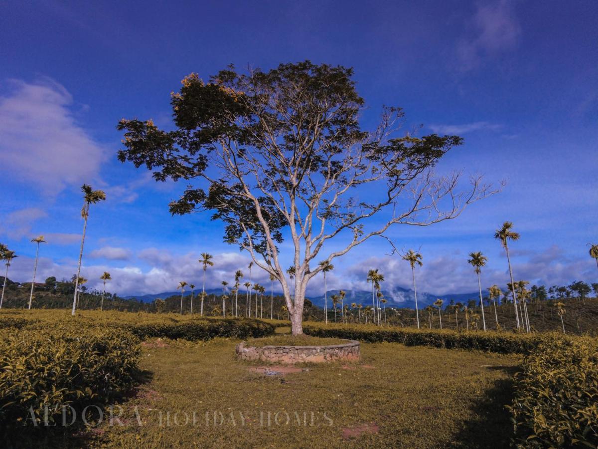 Aldora Holiday Homes 维特利 外观 照片